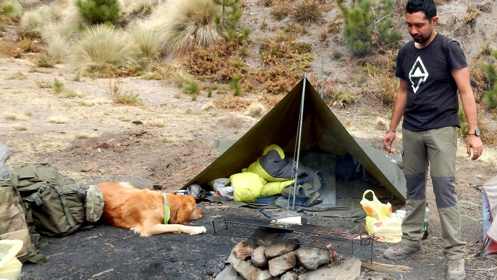 Golden Retriever en acampada